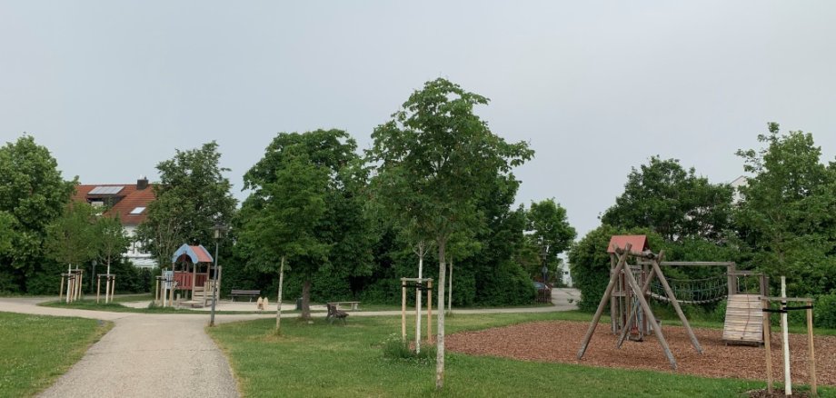 Bäume am Spielplatz